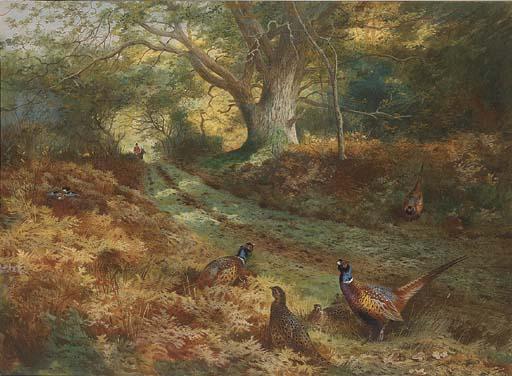 Wikioo.org - The Encyclopedia of Fine Arts - Painting, Artwork by Archibald Thorburn - The Bridle Path
