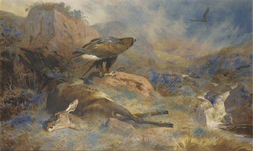 Wikioo.org - The Encyclopedia of Fine Arts - Painting, Artwork by Archibald Thorburn - The Lost Hind