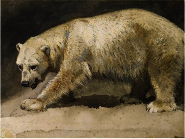 Wikioo.org - The Encyclopedia of Fine Arts - Painting, Artwork by Archibald Thorburn - The Polar Bear
