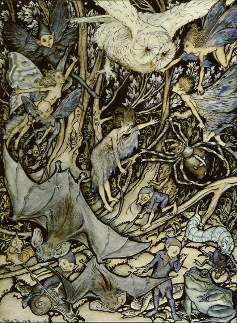 Wikioo.org - The Encyclopedia of Fine Arts - Painting, Artwork by Arthur Rackham - A midsummer night's dream another part of the wood