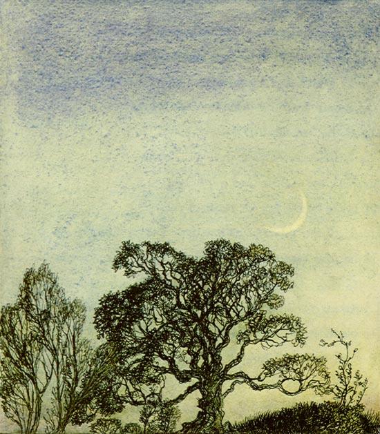 WikiOO.org - Encyclopedia of Fine Arts - Lukisan, Artwork Arthur Rackham - A midsummer night's dream moonlight in the wood