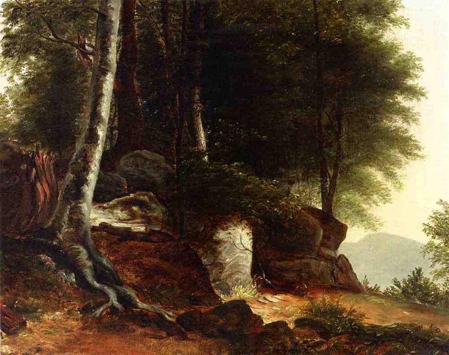 Wikioo.org – L'Encyclopédie des Beaux Arts - Peinture, Oeuvre de Asher Brown Durand - a étudier depuis nature