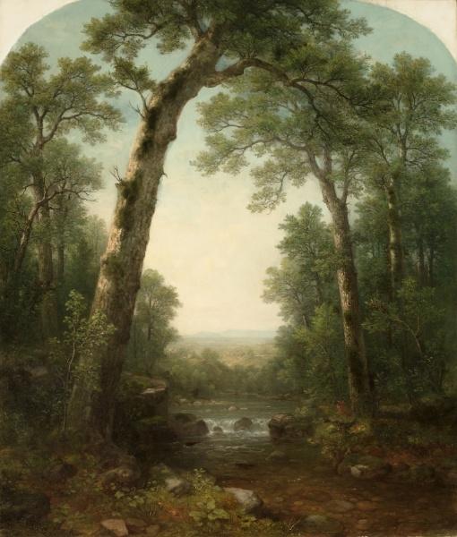 Wikioo.org - The Encyclopedia of Fine Arts - Painting, Artwork by Asher Brown Durand - Forest Stream with Vista
