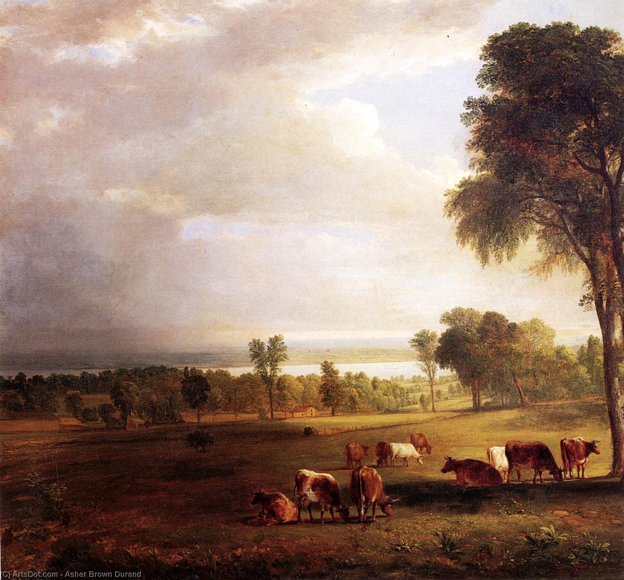 Wikioo.org - The Encyclopedia of Fine Arts - Painting, Artwork by Asher Brown Durand - Gathering storm