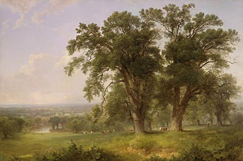 Wikioo.org - The Encyclopedia of Fine Arts - Painting, Artwork by Asher Brown Durand - Genesee Oaks