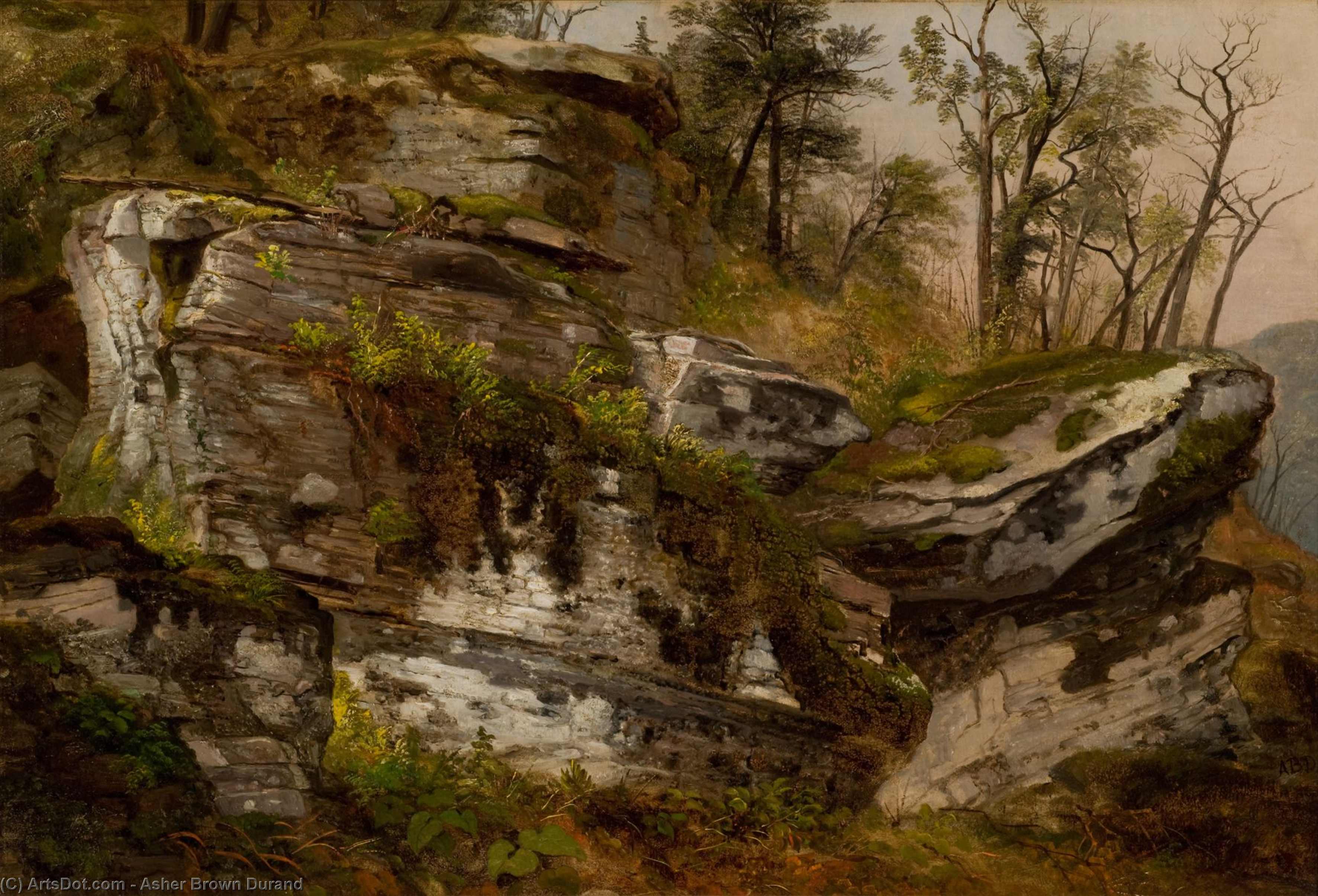 Wikioo.org - The Encyclopedia of Fine Arts - Painting, Artwork by Asher Brown Durand - Rocky cliff