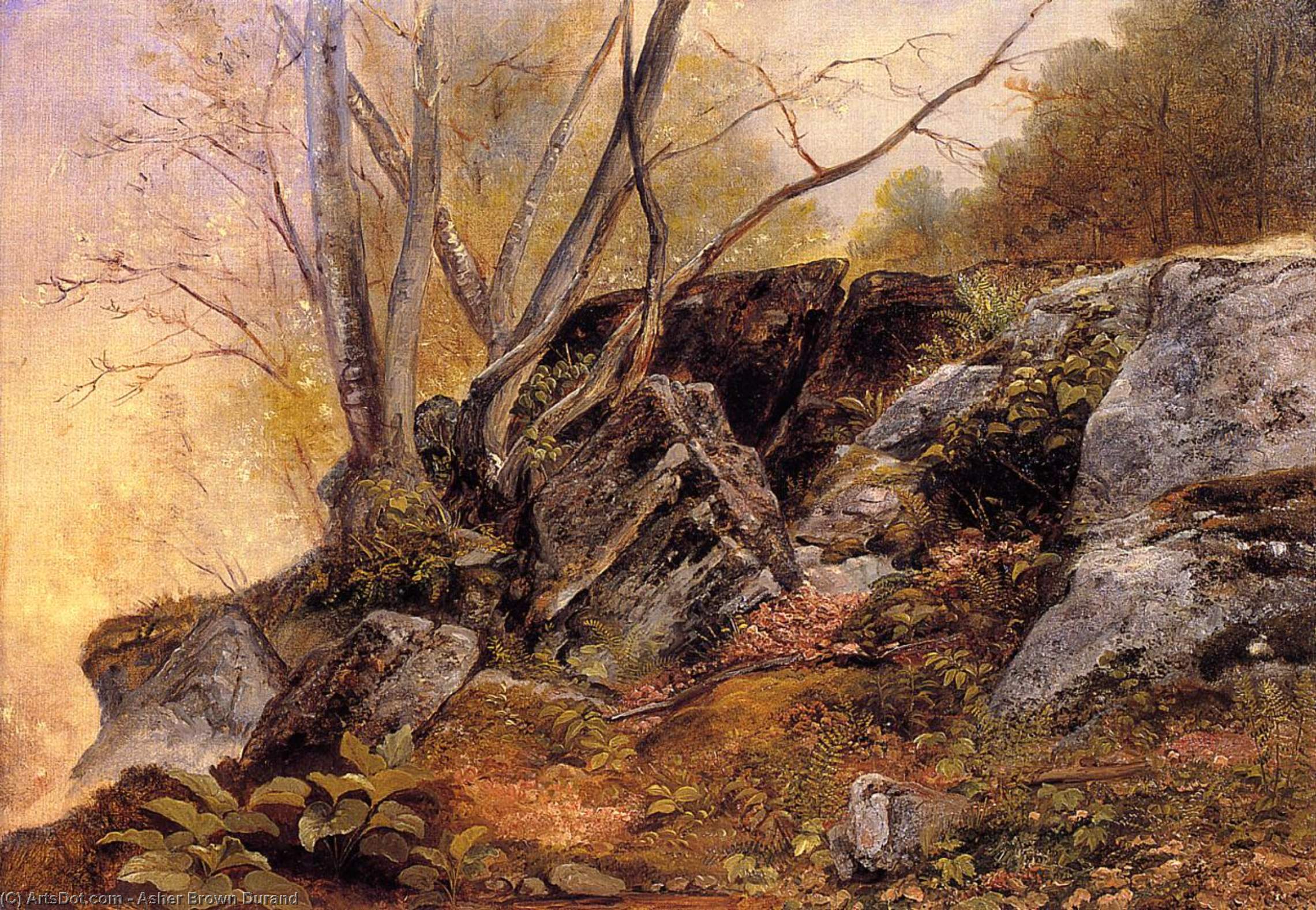 Wikioo.org - The Encyclopedia of Fine Arts - Painting, Artwork by Asher Brown Durand - Study from nature, rocks and trees
