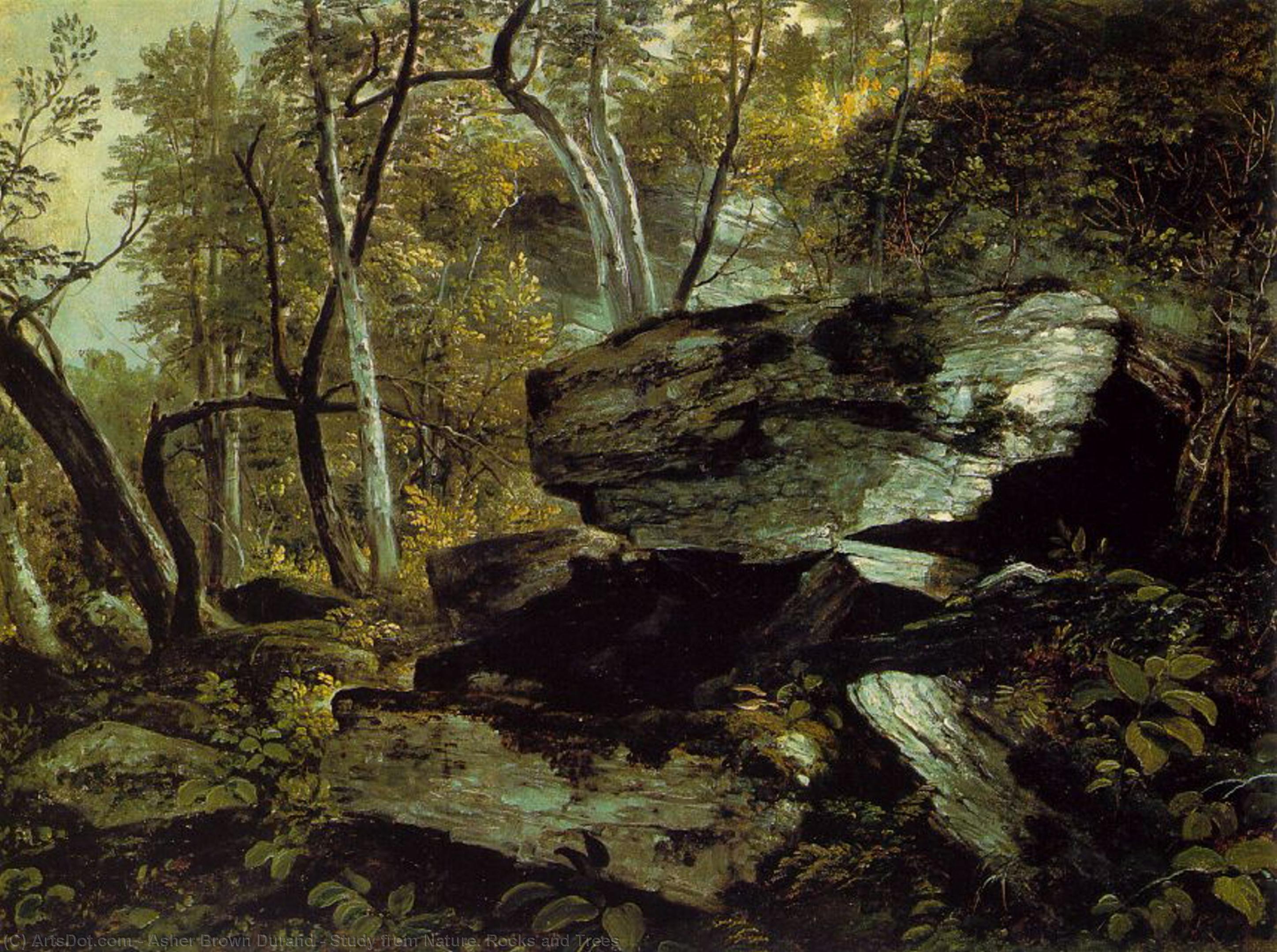 Wikioo.org - The Encyclopedia of Fine Arts - Painting, Artwork by Asher Brown Durand - Study from Nature. Rocks and Trees