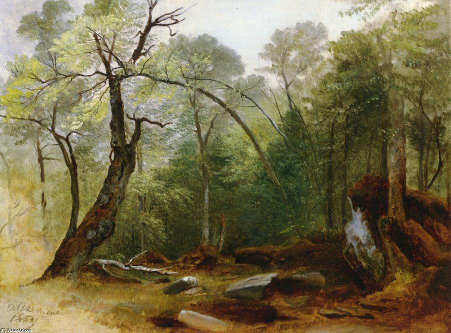 Wikioo.org - The Encyclopedia of Fine Arts - Painting, Artwork by Asher Brown Durand - Study in the woods