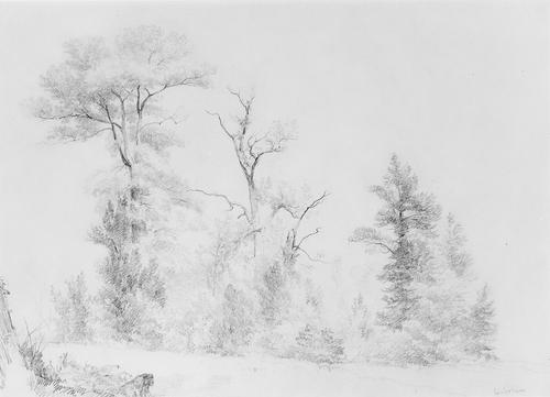 WikiOO.org - Enciclopedia of Fine Arts - Pictura, lucrări de artă Asher Brown Durand - Three Trees, Hoboken