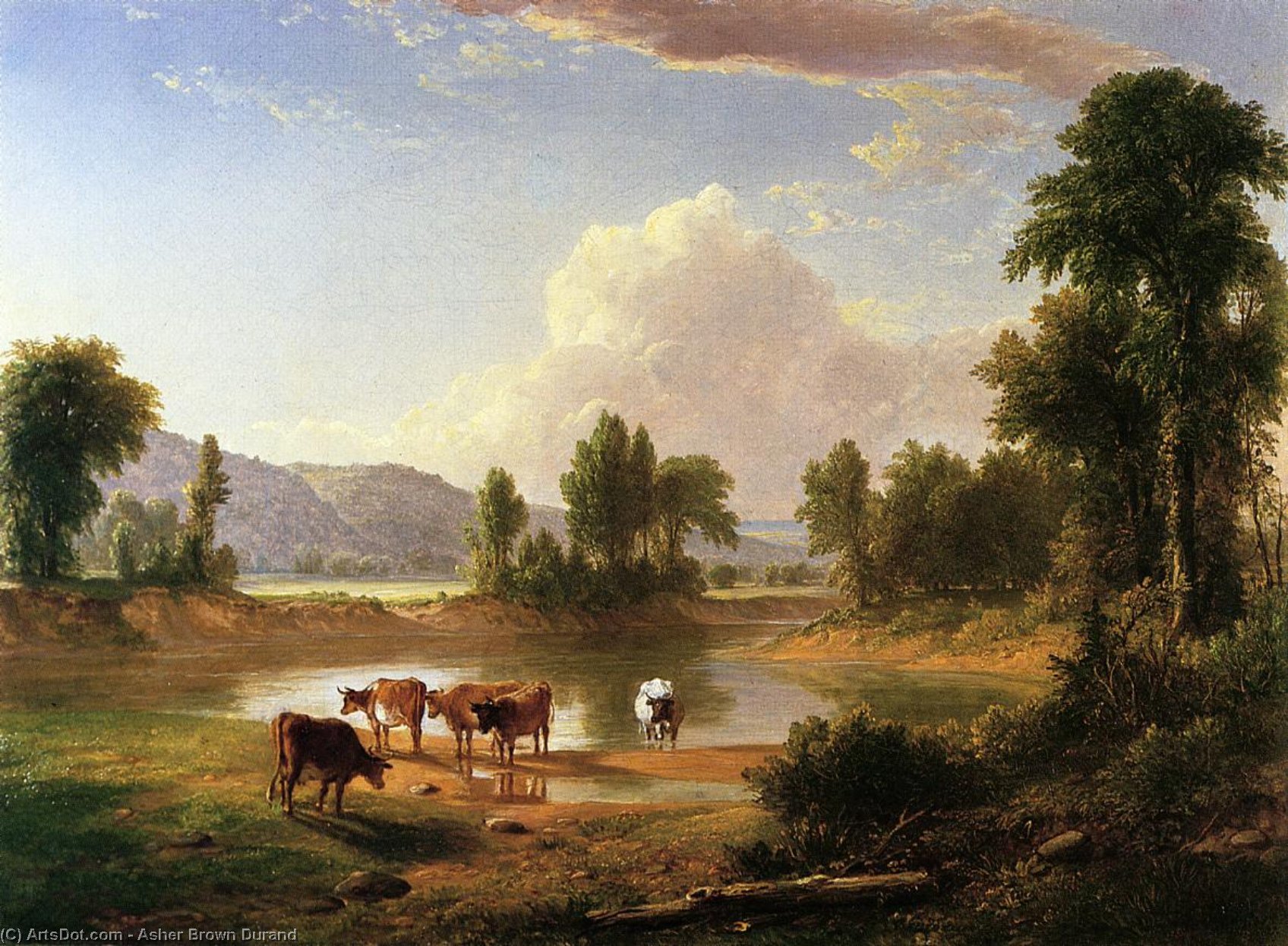 Wikioo.org - The Encyclopedia of Fine Arts - Painting, Artwork by Asher Brown Durand - View of esopus creek, ulster county, new york