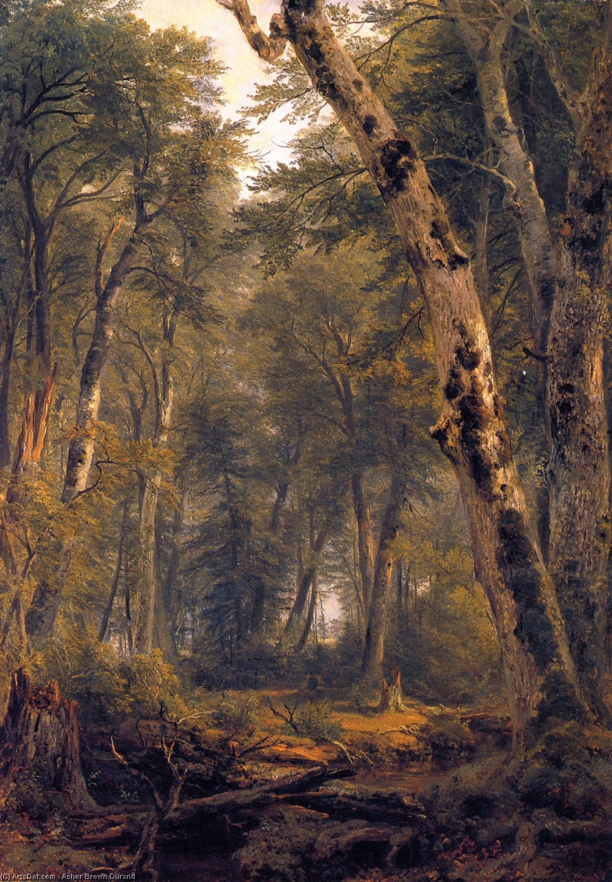 Wikioo.org - The Encyclopedia of Fine Arts - Painting, Artwork by Asher Brown Durand - Woodland scene