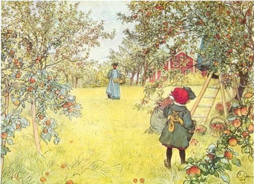 Wikioo.org - The Encyclopedia of Fine Arts - Painting, Artwork by Carl Larsson - Apple harvest