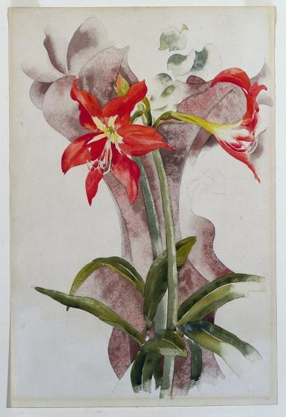 Wikioo.org – L'Encyclopédie des Beaux Arts - Peinture, Oeuvre de Charles Demuth - Amaryllis