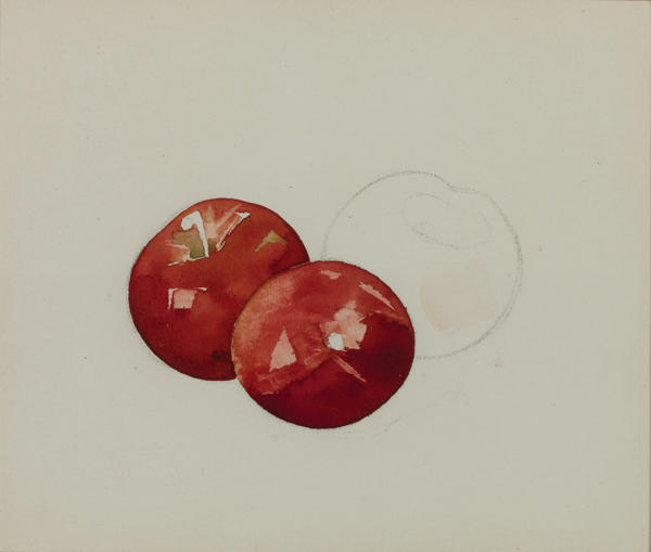 Wikioo.org - สารานุกรมวิจิตรศิลป์ - จิตรกรรม Charles Demuth - Apples