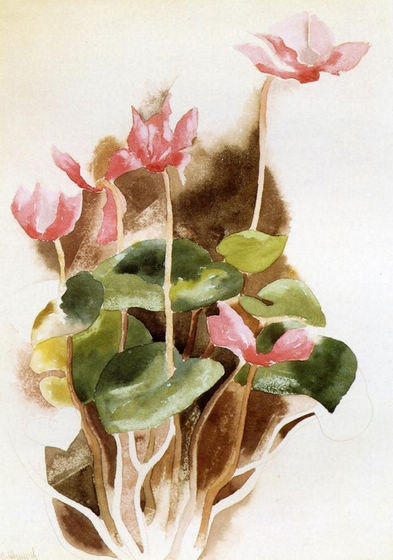 Wikioo.org - The Encyclopedia of Fine Arts - Painting, Artwork by Charles Demuth - Cyclamen 2