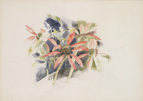 WikiOO.org - Encyclopedia of Fine Arts - Maľba, Artwork Charles Demuth - Daisies