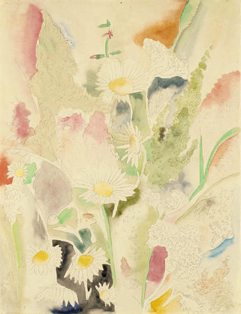 Wikioo.org – La Enciclopedia de las Bellas Artes - Pintura, Obras de arte de Charles Demuth - campo flores