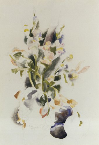 Wikioo.org - สารานุกรมวิจิตรศิลป์ - จิตรกรรม Charles Demuth - Floral Still Life
