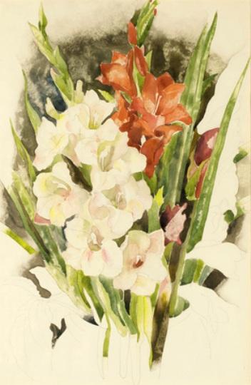WikiOO.org - Encyclopedia of Fine Arts - Maľba, Artwork Charles Demuth - Gladiolus
