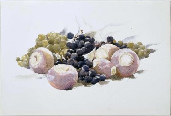 WikiOO.org - 백과 사전 - 회화, 삽화 Charles Demuth - Grapes and Turnips