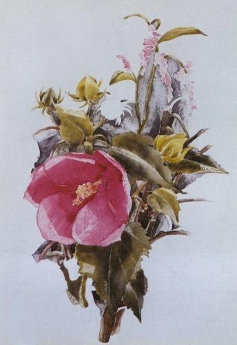 Wikioo.org - สารานุกรมวิจิตรศิลป์ - จิตรกรรม Charles Demuth - Hibiscus