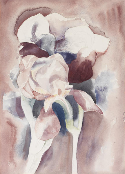 Wikioo.org - The Encyclopedia of Fine Arts - Painting, Artwork by Charles Demuth - Irises