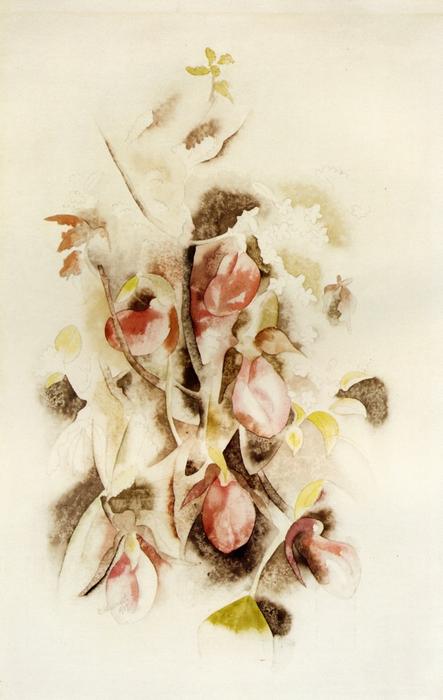 Wikioo.org - สารานุกรมวิจิตรศิลป์ - จิตรกรรม Charles Demuth - Pink Lady Slippers