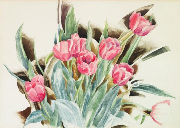 Wikioo.org - The Encyclopedia of Fine Arts - Painting, Artwork by Charles Demuth - Pink Tulips