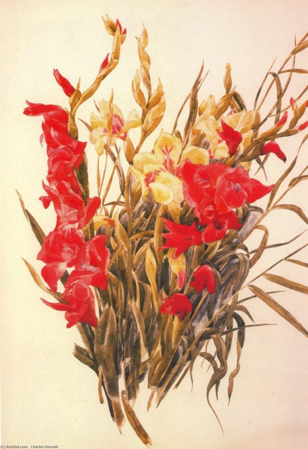 Wikioo.org - The Encyclopedia of Fine Arts - Painting, Artwork by Charles Demuth - Red and yellow Gladioli