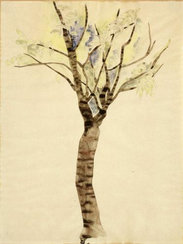 Wikioo.org - สารานุกรมวิจิตรศิลป์ - จิตรกรรม Charles Demuth - Tree