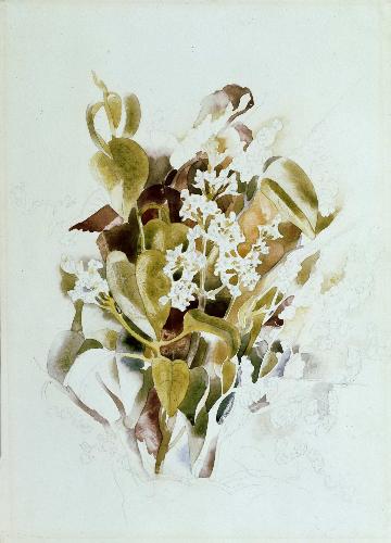 WikiOO.org - Encyclopedia of Fine Arts - Maľba, Artwork Charles Demuth - White Lilacs