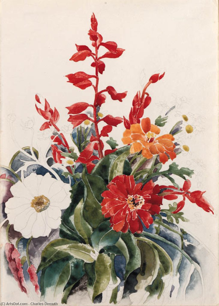 Wikioo.org - The Encyclopedia of Fine Arts - Painting, Artwork by Charles Demuth - Zinnias and Red Salvia