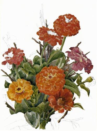 Wikioo.org - The Encyclopedia of Fine Arts - Painting, Artwork by Charles Demuth - Zinnias