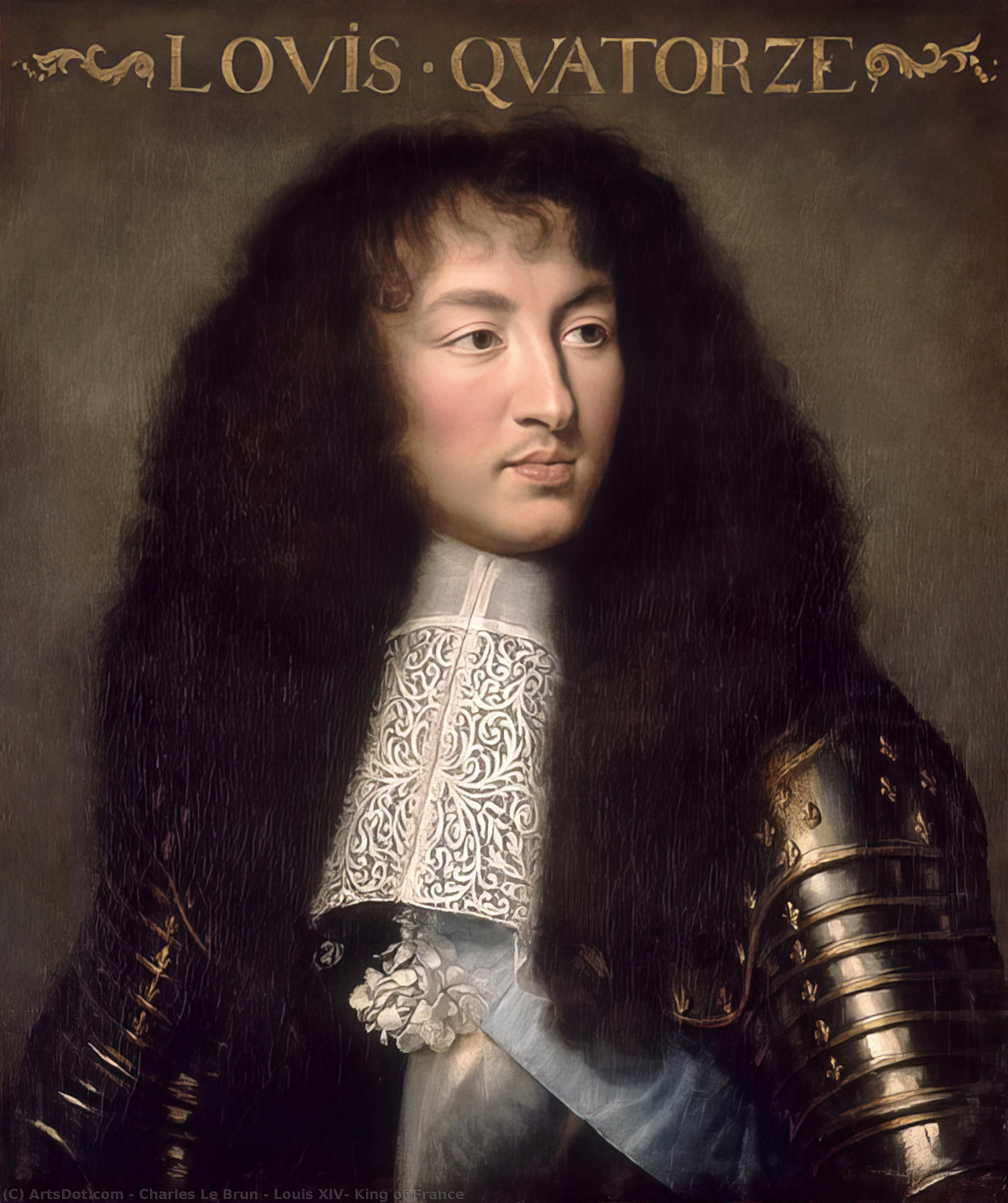Wikioo.org – La Enciclopedia de las Bellas Artes - Pintura, Obras de arte de Charles Le Brun - Luis XIV