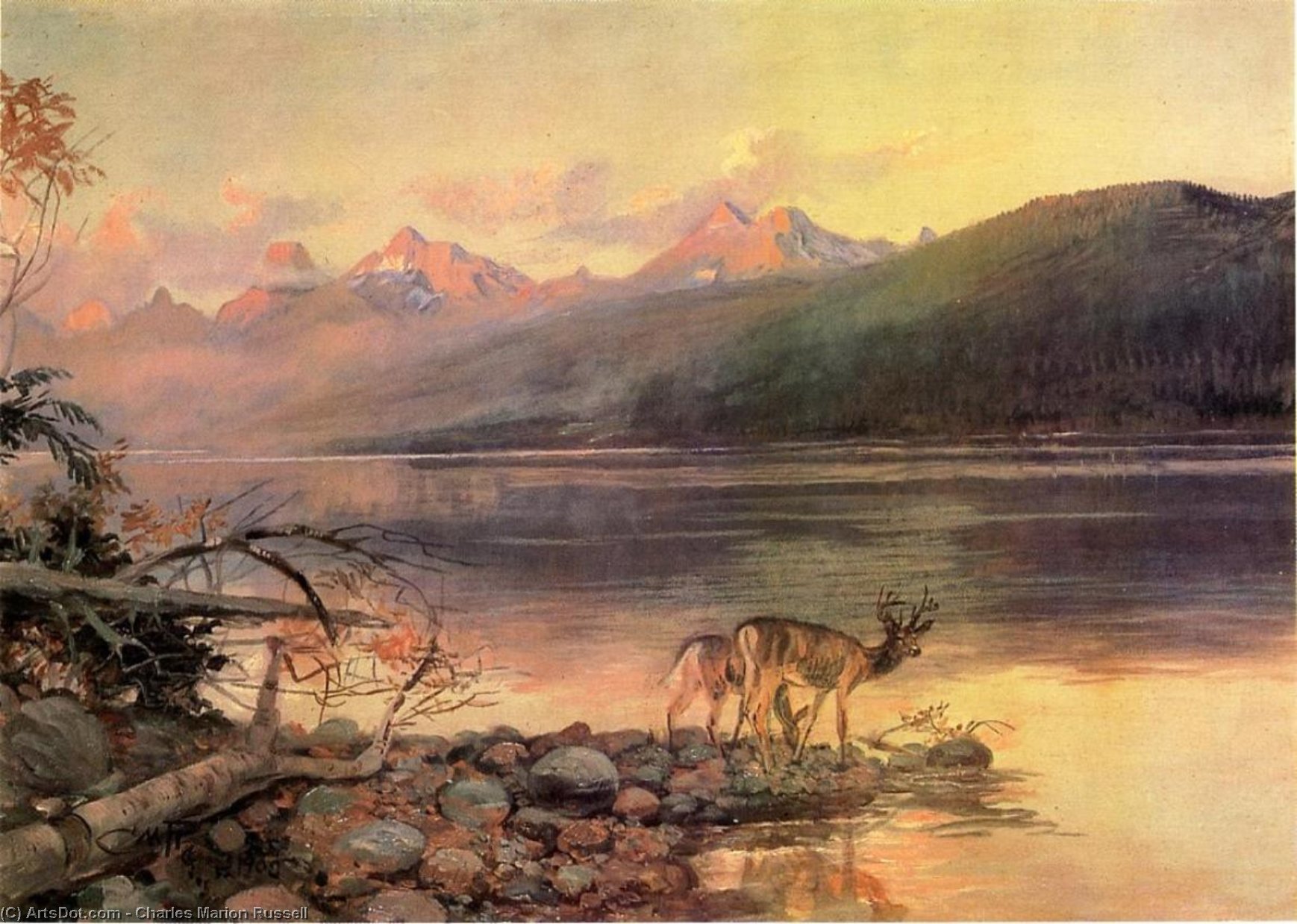 Wikioo.org - Encyklopedia Sztuk Pięknych - Malarstwo, Grafika Charles Marion Russell - Deer at Lake McDonald