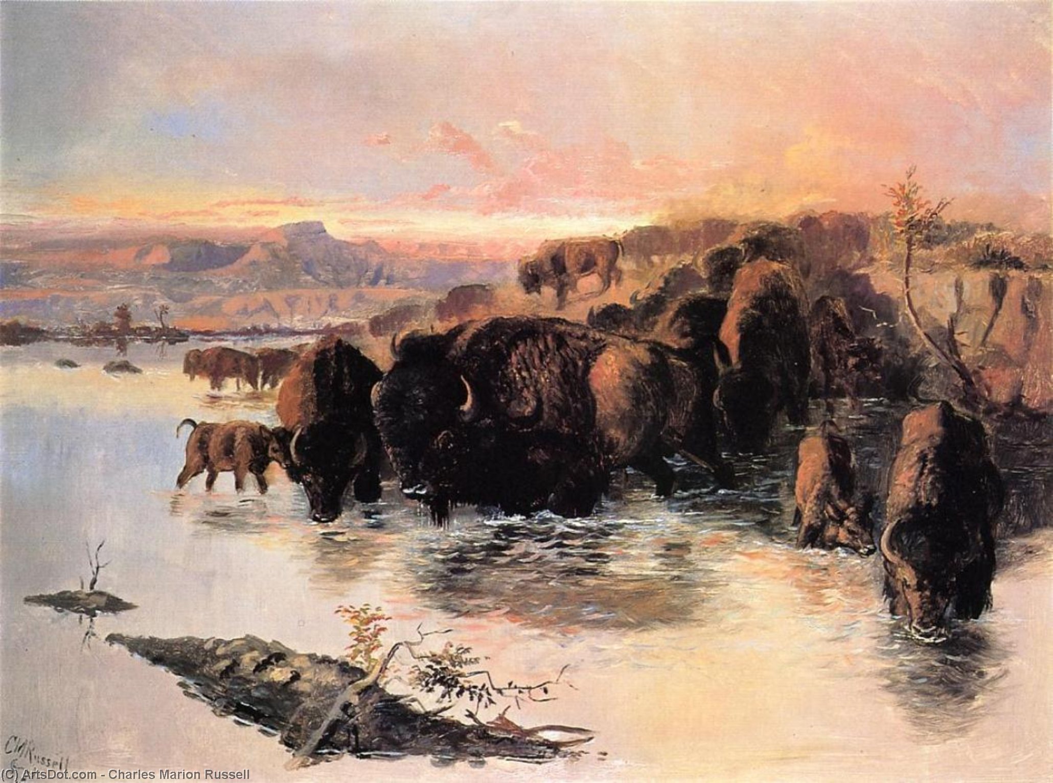 Wikoo.org - موسوعة الفنون الجميلة - اللوحة، العمل الفني Charles Marion Russell - The Buffalo Herd
