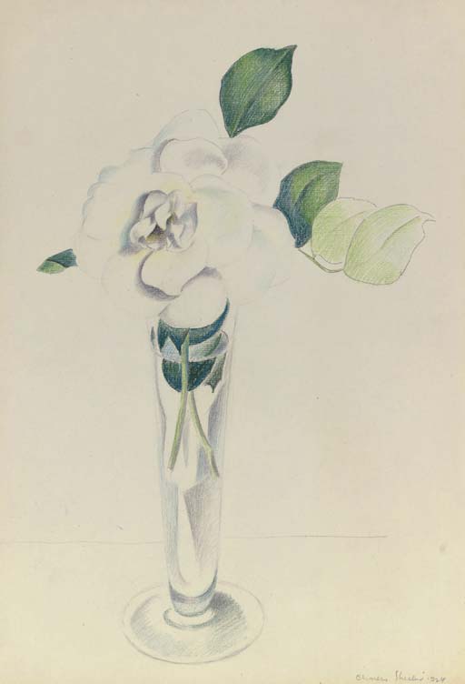 WikiOO.org - Енциклопедия за изящни изкуства - Живопис, Произведения на изкуството Charles Rettew Sheeler Junior - Rose in Vase