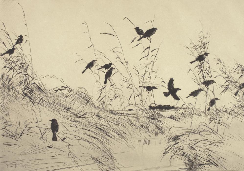 Wikioo.org - The Encyclopedia of Fine Arts - Painting, Artwork by Frank Weston Benson - Blackbirds and Rushes