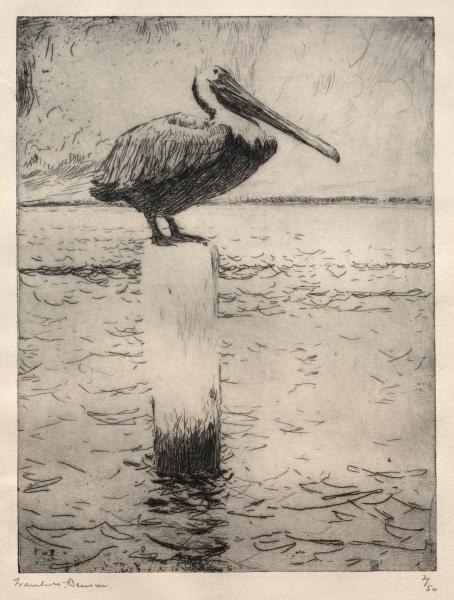 Wikioo.org - The Encyclopedia of Fine Arts - Painting, Artwork by Frank Weston Benson - Brown Pelican