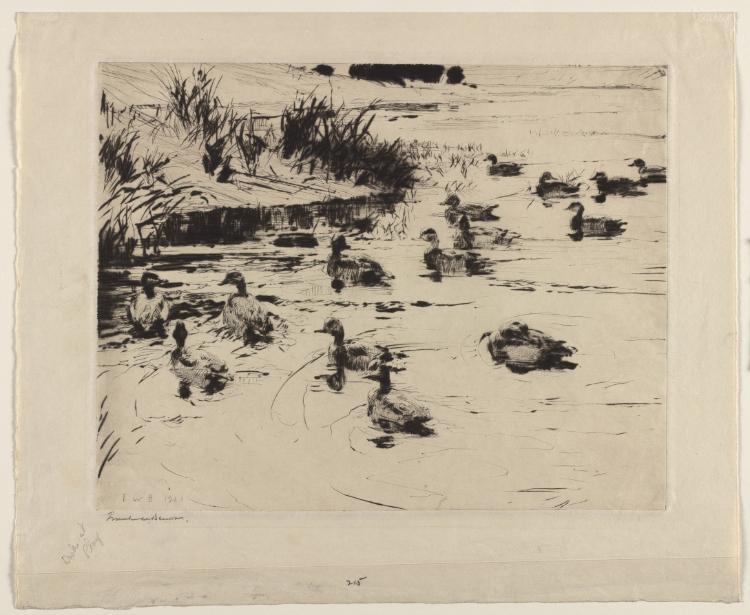 Wikioo.org - The Encyclopedia of Fine Arts - Painting, Artwork by Frank Weston Benson - Ducks at Play