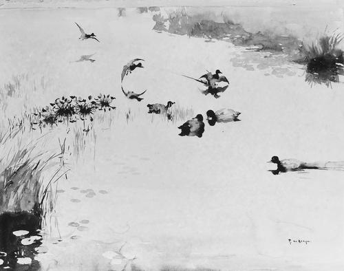 Wikoo.org - موسوعة الفنون الجميلة - اللوحة، العمل الفني Frank Weston Benson - Ducks in Calm Water