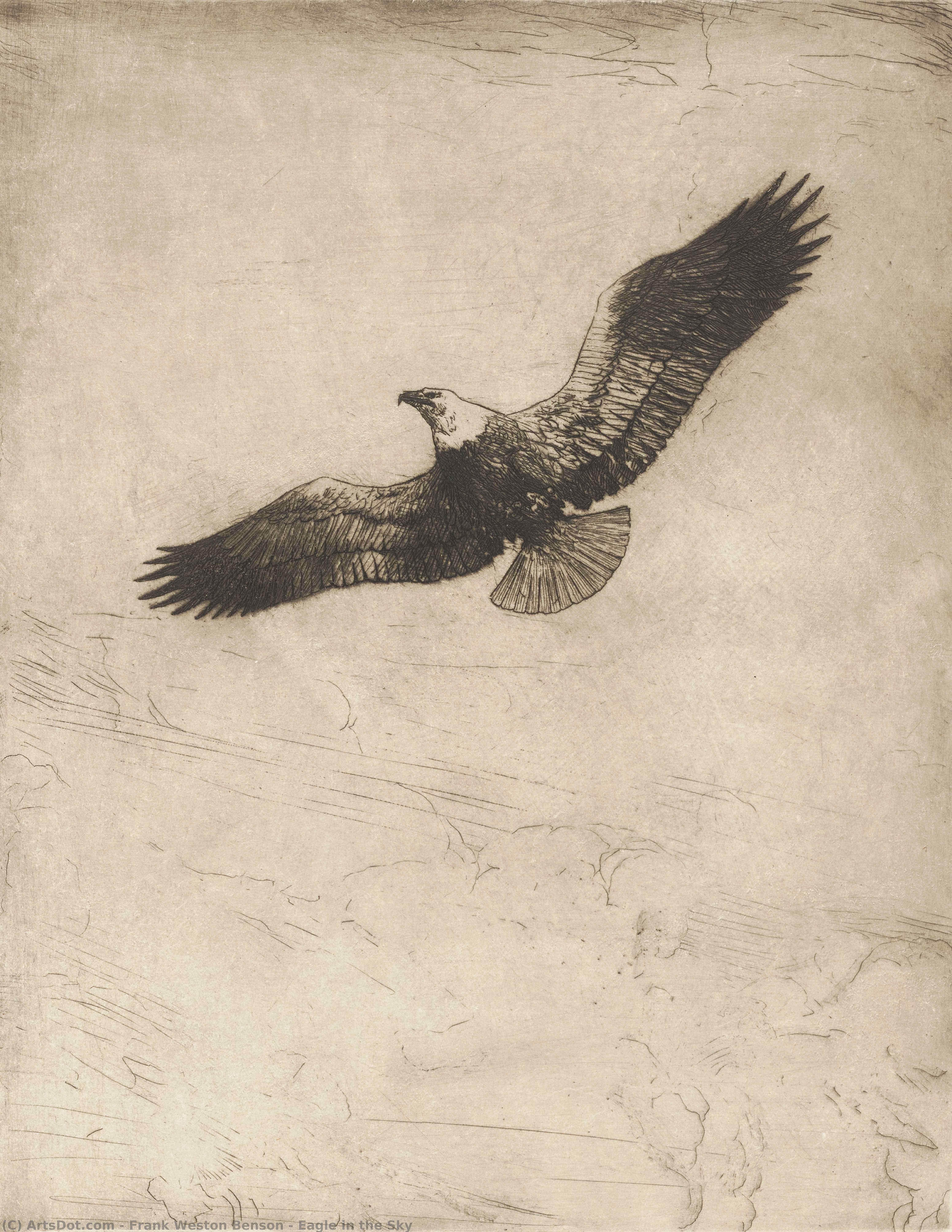 WikiOO.org - Encyclopedia of Fine Arts - Festés, Grafika Frank Weston Benson - Eagle in the Sky