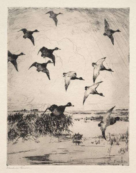 WikiOO.org - Encyclopedia of Fine Arts - Festés, Grafika Frank Weston Benson - Flying Ducks
