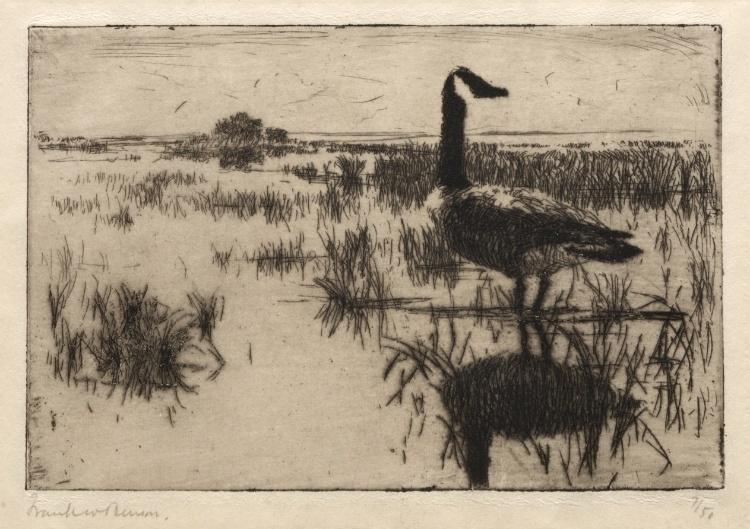 Wikioo.org - Encyklopedia Sztuk Pięknych - Malarstwo, Grafika Frank Weston Benson - Lone Goose