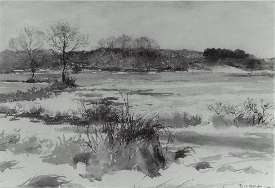 Wikioo.org - The Encyclopedia of Fine Arts - Painting, Artwork by Frank Weston Benson - Meadows in winter