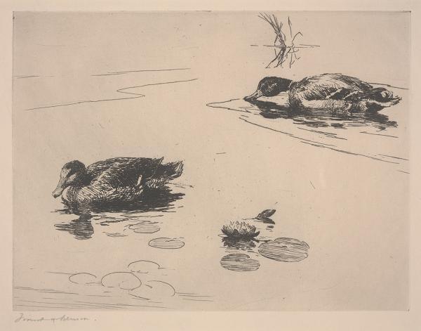 WikiOO.org - אנציקלופדיה לאמנויות יפות - ציור, יצירות אמנות Frank Weston Benson - Untitled (Ducks)