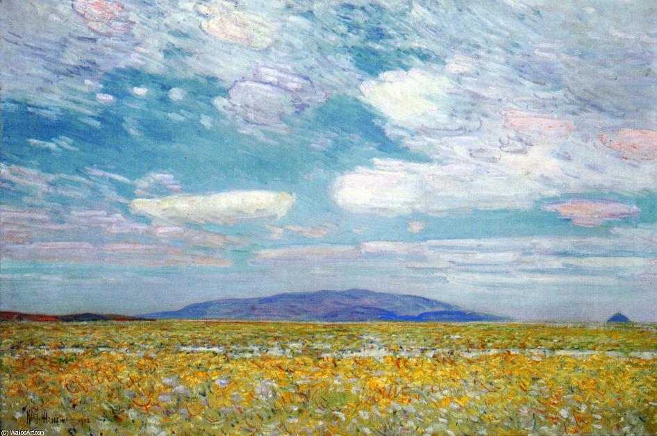 Wikioo.org - The Encyclopedia of Fine Arts - Painting, Artwork by Frederick Childe Hassam - Alkali, Rabbit Brush and Grease Wood Squaw Cap, Oregon Trail