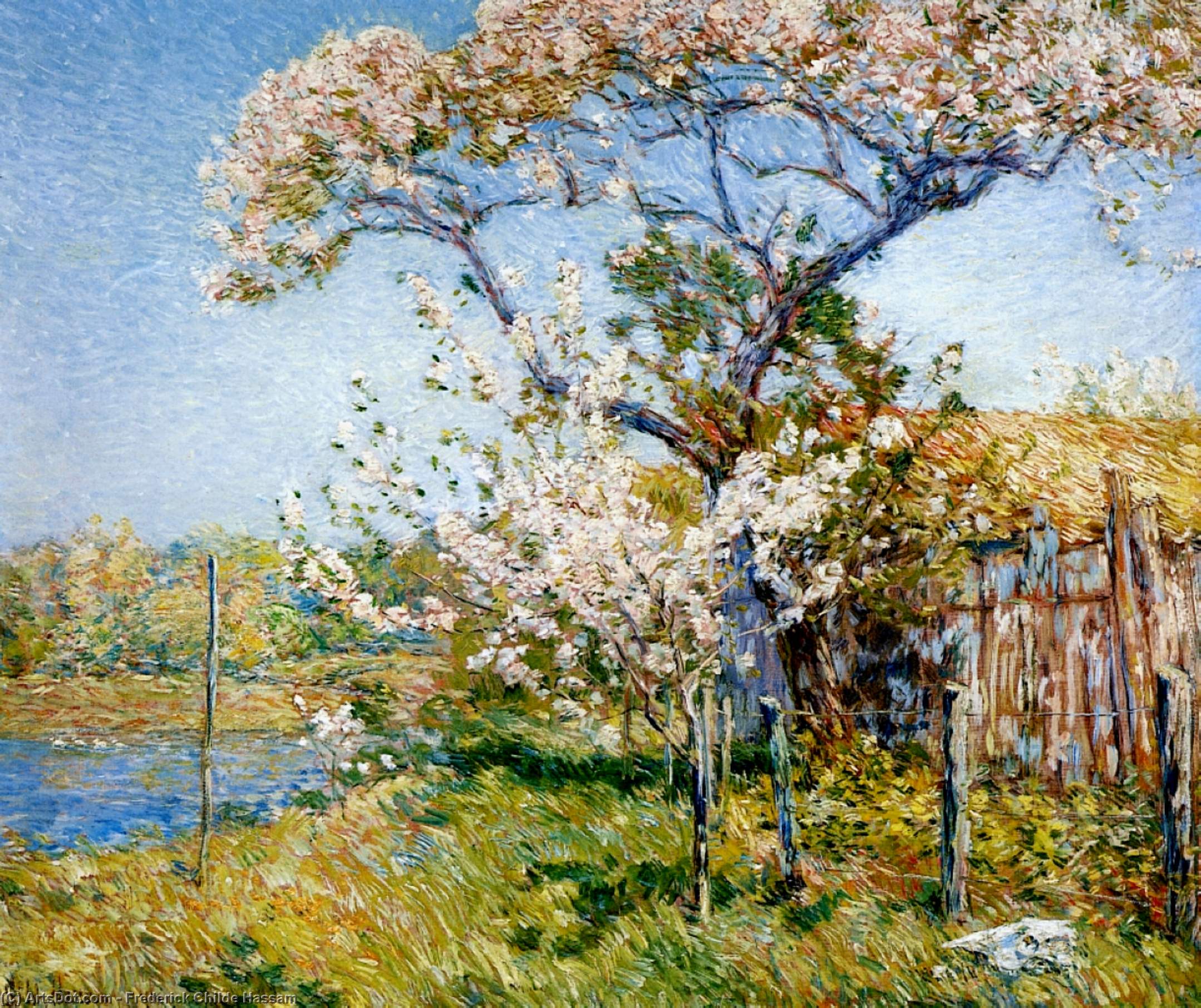 WikiOO.org - Enciklopedija likovnih umjetnosti - Slikarstvo, umjetnička djela Frederick Childe Hassam - Apple Trees in Bloom, Old Lyme