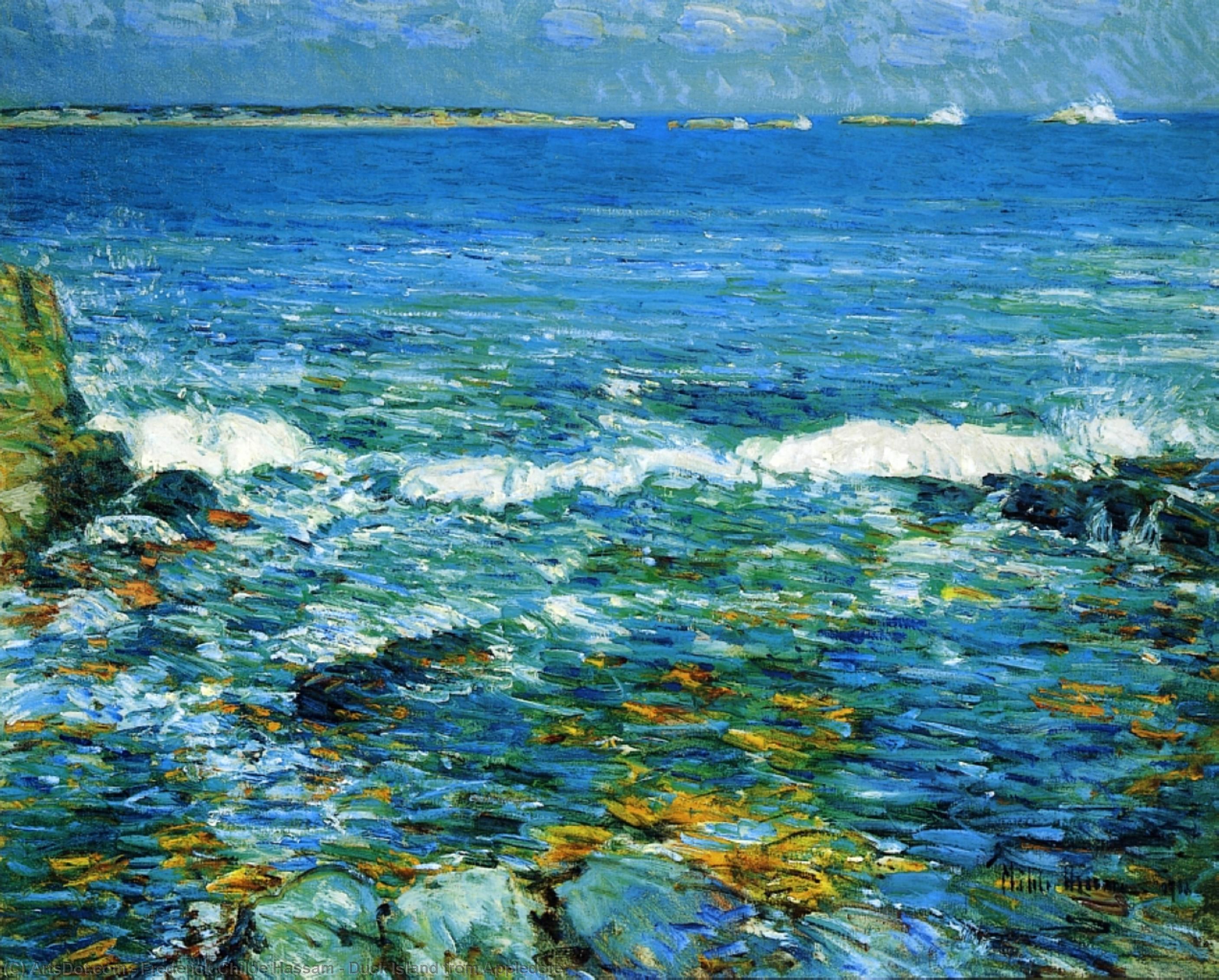 Wikioo.org - The Encyclopedia of Fine Arts - Painting, Artwork by Frederick Childe Hassam - Duck Island from Appledore